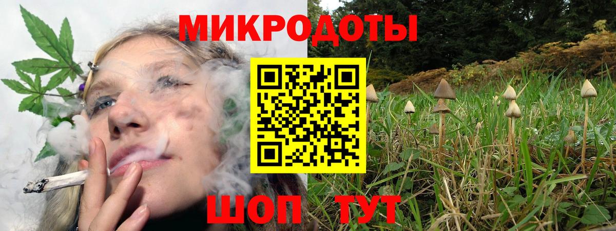 Галлюциногенные грибы Psilocybine cubensis  Вход с VPN  Канаш 