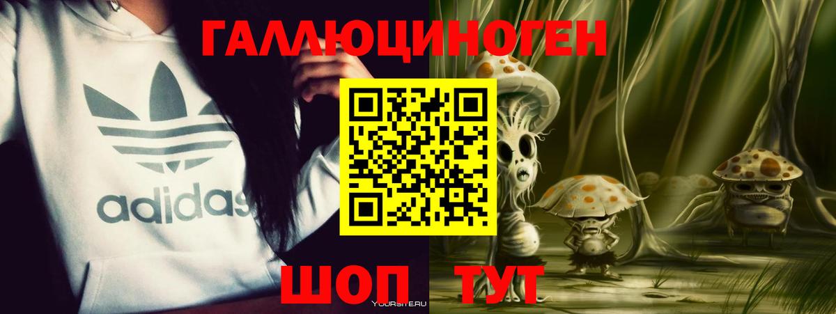 APVP Канаш